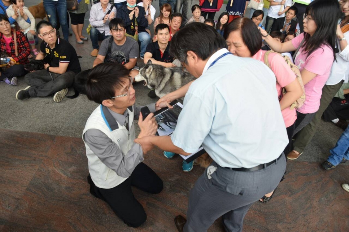 市議員與動保團體今日於市政府門前召開記者會,嘉義市動物守護協會理事長吳育才一度情緒激動,向建設處長陳育仁下跪陳情。 嘉義市動物守護協會/提供