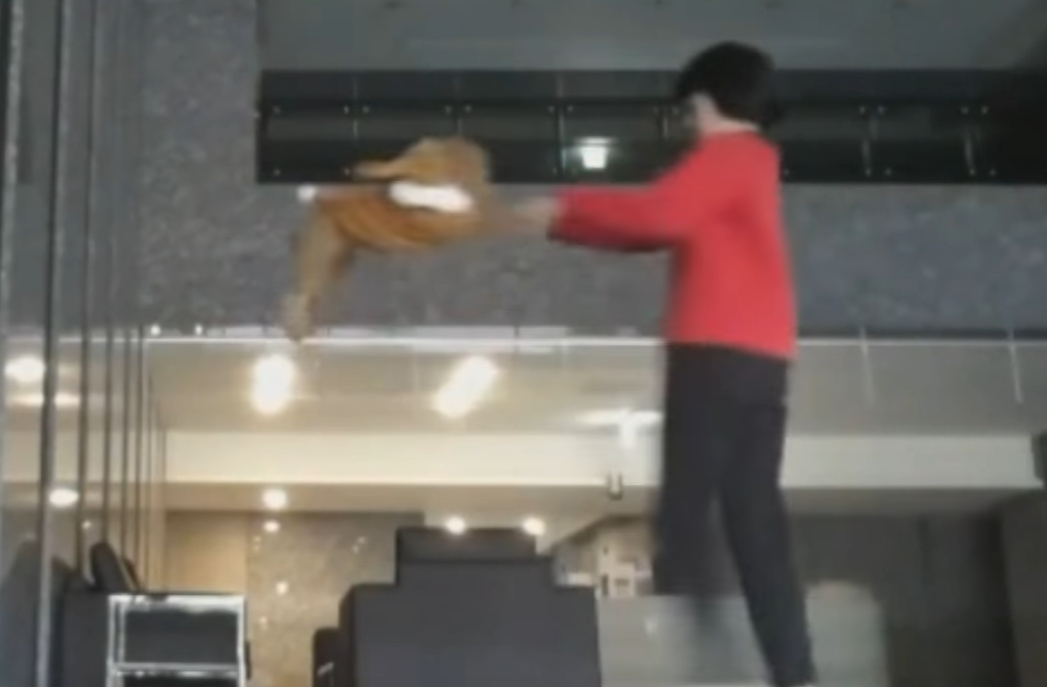 小女孩抓著小狗不停轉圈，有網友截圖指稱小女孩是台北市某國小五年級生。　備份影片截圖