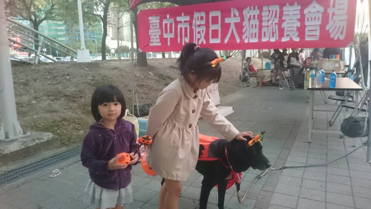 萬萬看到人會主動撒嬌，且不會興奮得撲人和亂舔，而是乖乖讓人摸頭、摸背，連家長也很放心讓小朋友靠近萬萬。　台中市動保處/提供