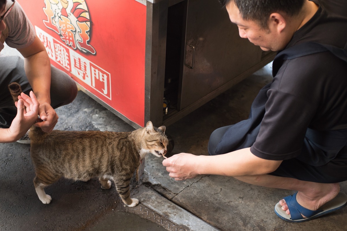 老闆會拿肉肉犒賞我呀！