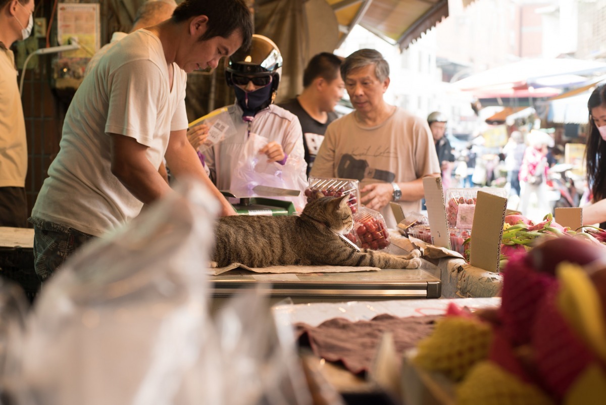 大家都在忙，我幫忙顧店！