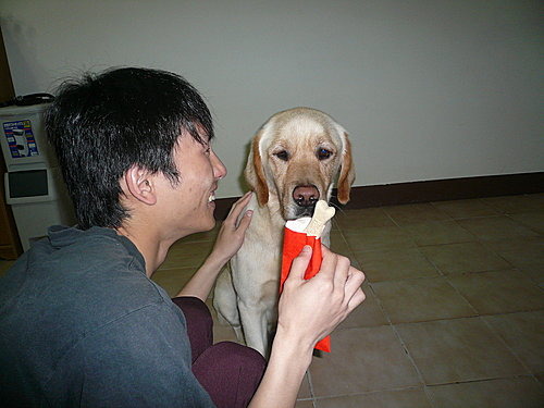 威諭把Gus當作孩子,每年過年都會給牠香香骨頭紅包。 威諭/提供