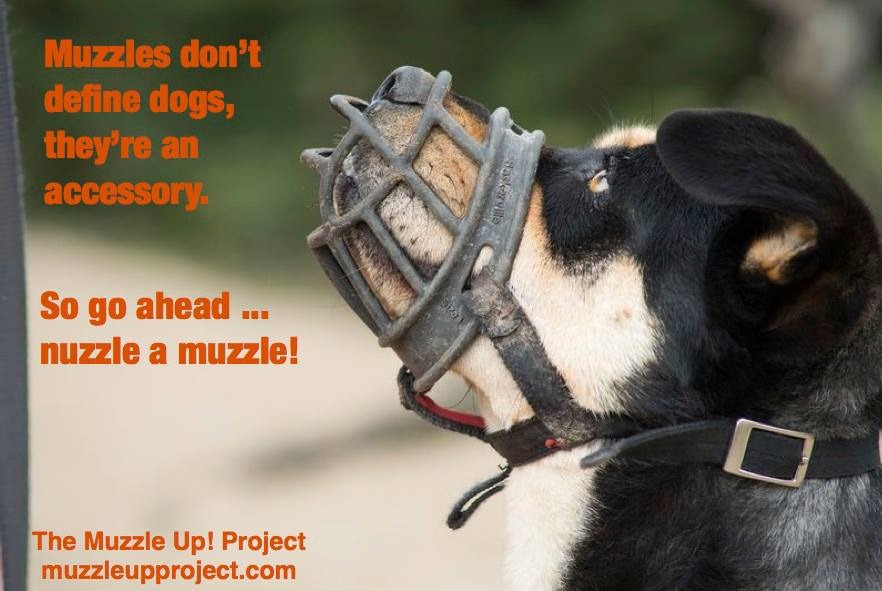 「戴嘴套計畫」（The Muzzle Up Project）是教飼主如何訓練狗兒喜歡戴嘴套的網站。 取自戴嘴套計畫臉書