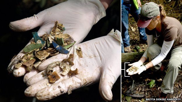 科學家打開死亡鳥隻的腹部，發現大量塑膠垃圾。        取自BBC NEWS