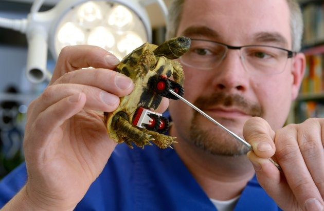 獸醫師普利思從兒子那借來樂高玩具，為布雷德製作輪椅。 取自Yahoo News, photo by Rex 