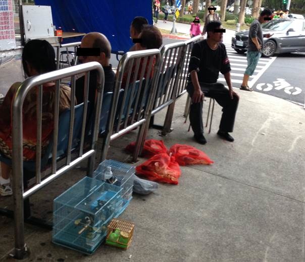 王姓鳥販於建國玉市賣鳥。　台北市動保處/提供