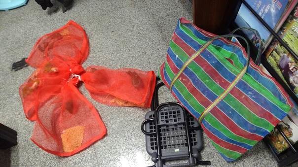 王姓鳥販常以網袋賣鳥，照片攝於台北市政府警察局中正一分局，王姓民眾因造成鳥隻死亡被移送偵辦。　台北市動保處/提供