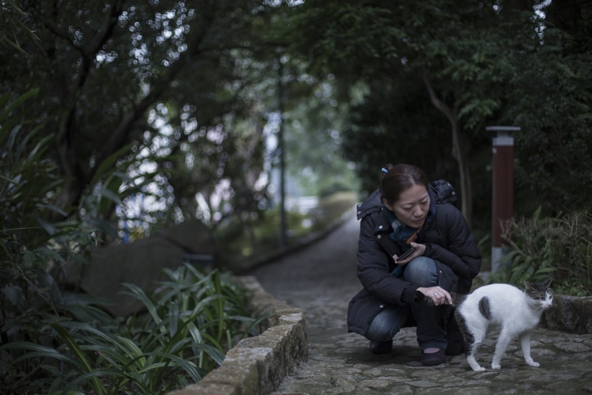 台灣動保志工黎安娜前往澳門螺絲山公園查案，並與澳門當地志、香港志工交流。　取自《香港01》