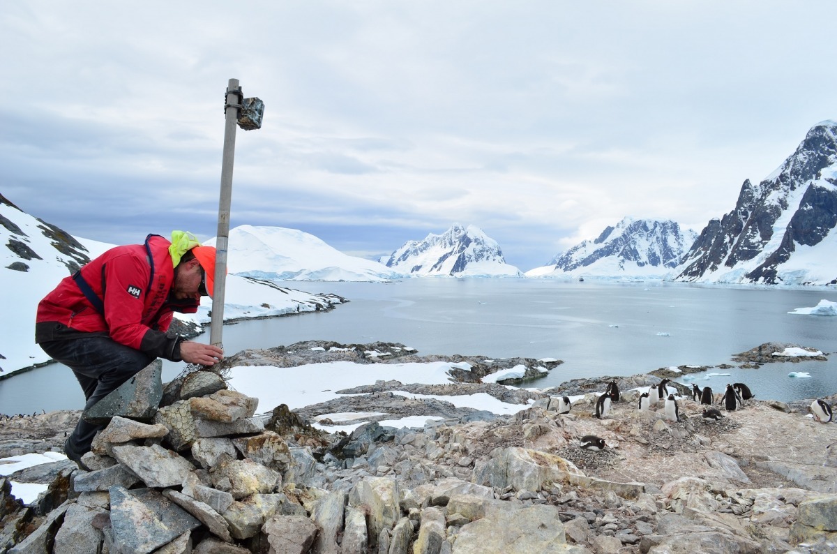 研究團隊表示，許多企鵝存在科學家難以到達的地區、且人類的存在可能會干擾企鵝行為，研究希望能觀察到偏遠地區的企鵝數量變化，因而使用照相機。　取自Penguin Watch