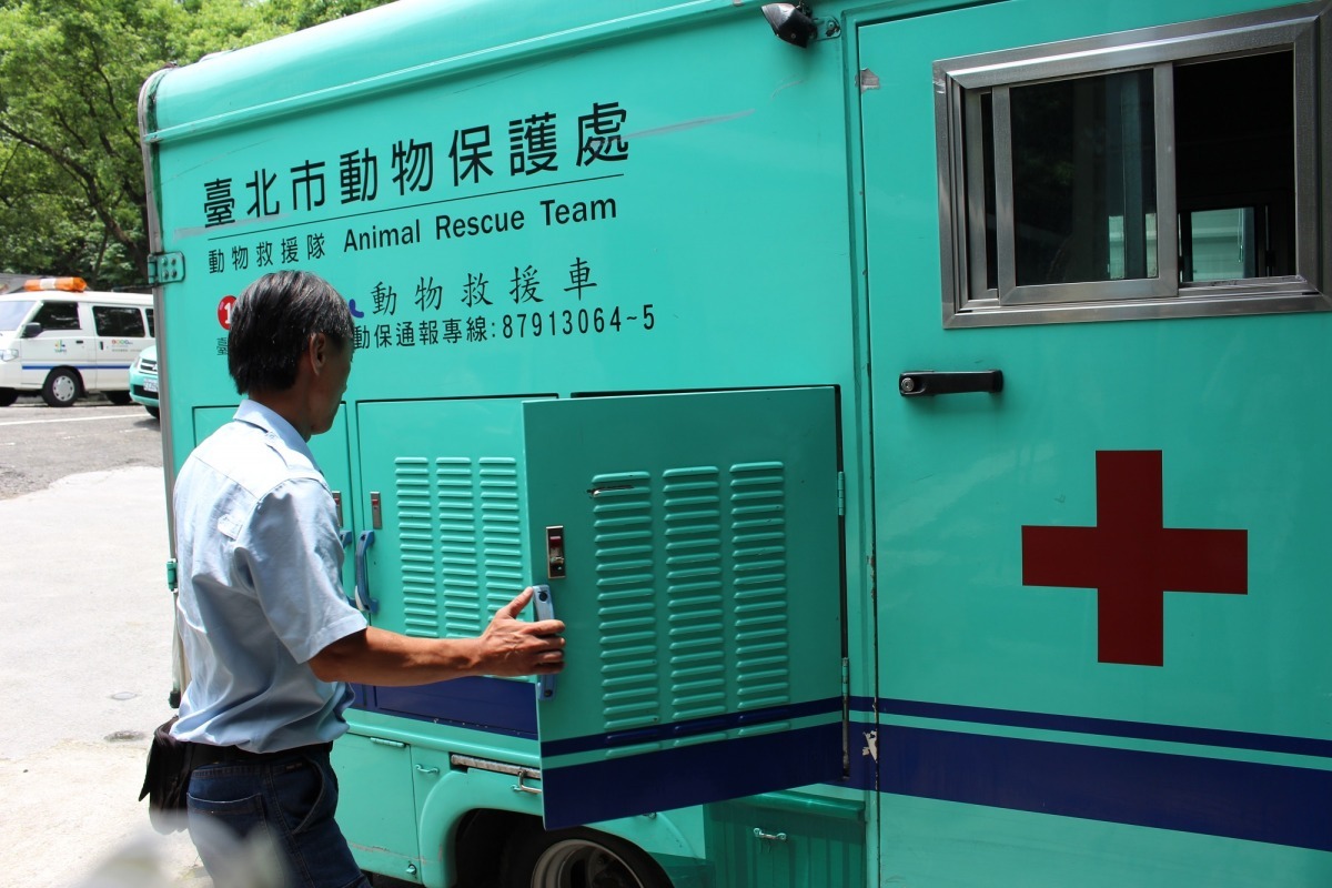春節期間，台北市與台南市仍維持動物救援業務，全年無休。 台灣動物新聞網資料照(李娉婷/攝)