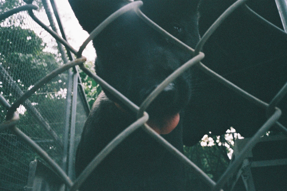 《Voice of Void 寂寞之聲》展覽內容多元,有繪畫、版畫、攝影等,圖為展出攝影作品之一。 Voice of Void 寂寞之聲/提供