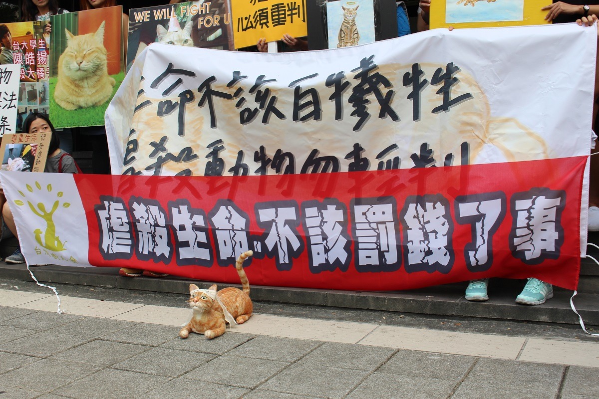 大橘案案發滿一周年，加重虐待動物刑責的動保法第25條修正案仍未通過。　台灣動物新聞網資料照(李娉婷/攝)