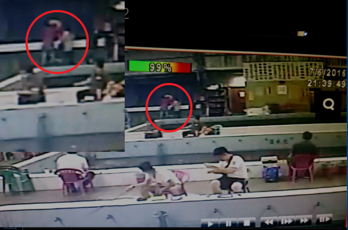 葉男將飼養的貴賓狗丟入釣蝦池中。 新北市動保處/提供