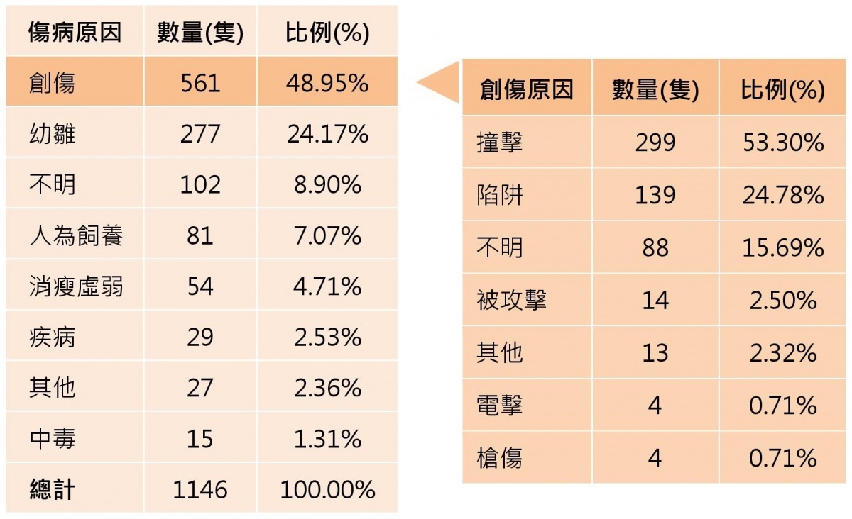 2007-2014年猛禽傷病原因。 野生動物急救站/數據提供
