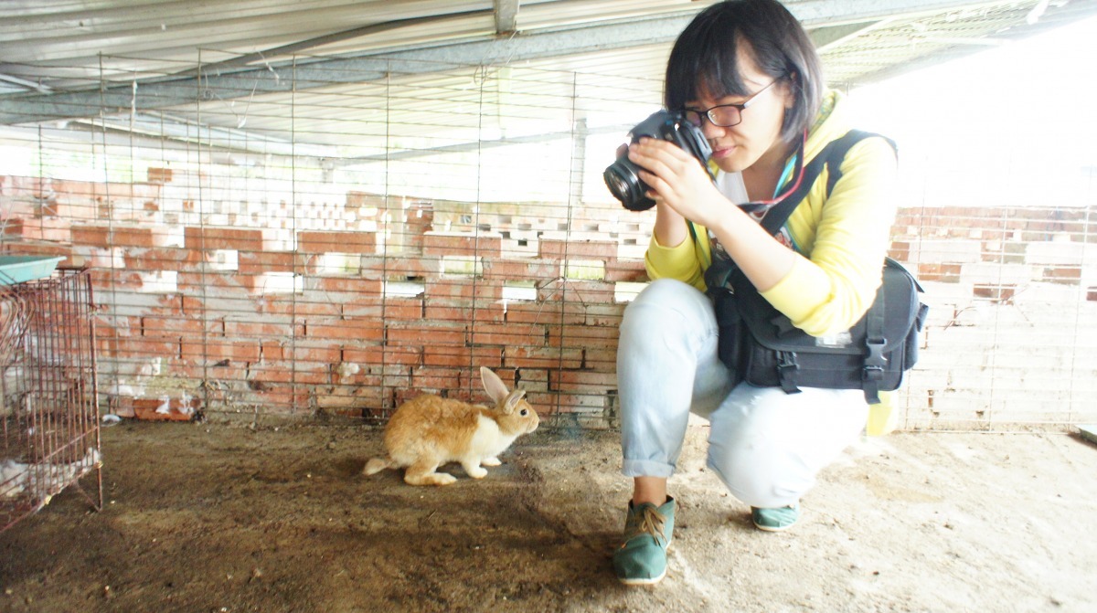 圖為台灣動物新聞網記者隨行紀錄台北市愛兔協會救援行動。　台北市愛兔協會/提供