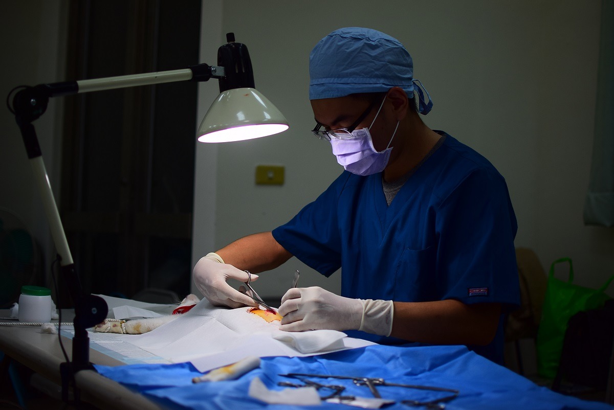 農委會表示會增加偏鄉絕育巡迴場次。　台灣動物新聞網資料照(江幸芸/攝)