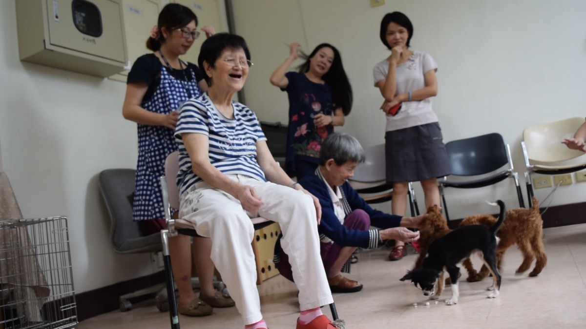 托老中心的長輩中有許多養過狗，眾人爭相分享養狗的經歷，訴說自己過去養的狗兒有多乖、多可愛，讓中心頓時充滿歡笑。　影片截圖，新北市動保處/提供