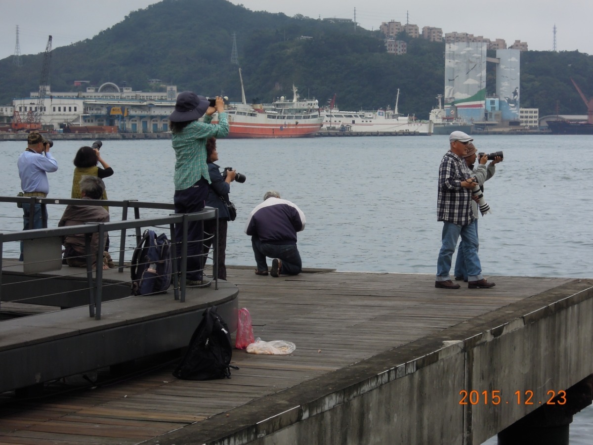 23日的會勘行動中，有數位民眾越過欄杆進入禁制區拍攝，並以餵食方式誘導黑鳶靠近，被動物保護防疫所人員勸離。　基隆市動物保護防疫所/提供