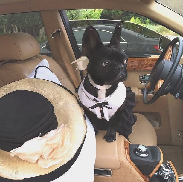 「下午去兜風，我有皮膚過敏，所以我穿著最舒適、時髦、有保護力的衣服，有時候連媽媽都嫉妒我的穿著。」　instagram_ladygaga