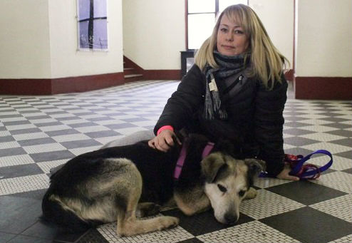 丹妮絲是少數能接近瑞奇/查理的人之一。因為她對瑞奇/查理的付出,動保團體PETA頒給了她愛心行動獎。 取自DNAinfo