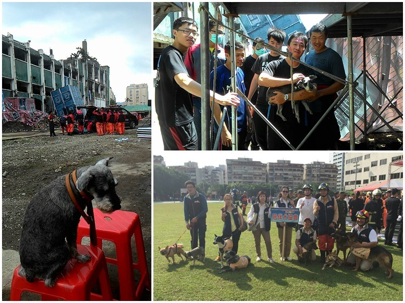 新北市104年度的災害防救演習，將寵物收容列為重要項目。　蔡文揮/提供