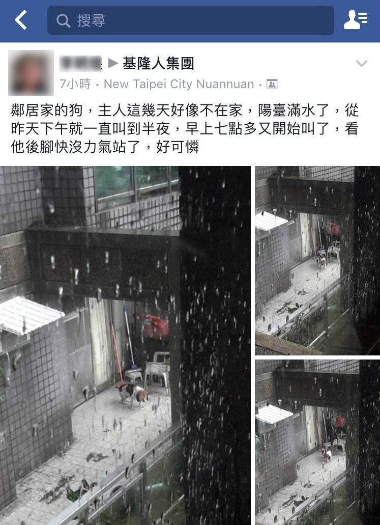 民眾發現鄰居飼養的米格魯在大雨中被放在陽台外，地板淹滿水，狗兒完全沒有辦法坐下。　基隆市動物保護防疫所/提供