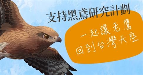 「讓老鷹回到台灣天空」募資計畫現正進行中。 取自群募貝果WeBackers