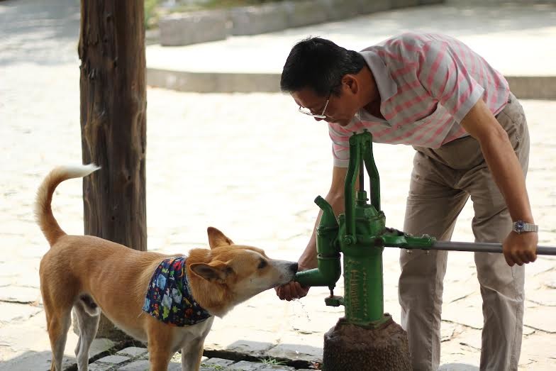 林德福與菲菲人狗情深、每日相伴,但菲菲卻在今年1月被毒死,無法完成林德福曾對牠說過的「再陪我10年」之願。 香草菲菲/提供