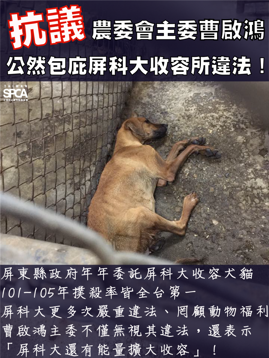 屏科大收容所的撲殺率，至今仍是全台最高。　Taiwan SPCA/提供
