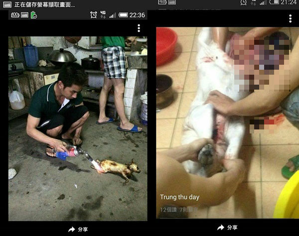 部分移工三不五時在網路上PO類似的屠狗貓照片，似乎有意激起台灣動保人士和愛狗貓民眾的憤怒情緒。  網友提供