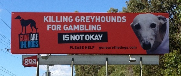 此事件也再次引發澳洲民眾要求停止賽狗產業的聲音。 Twitter_GoneAreTheDogs