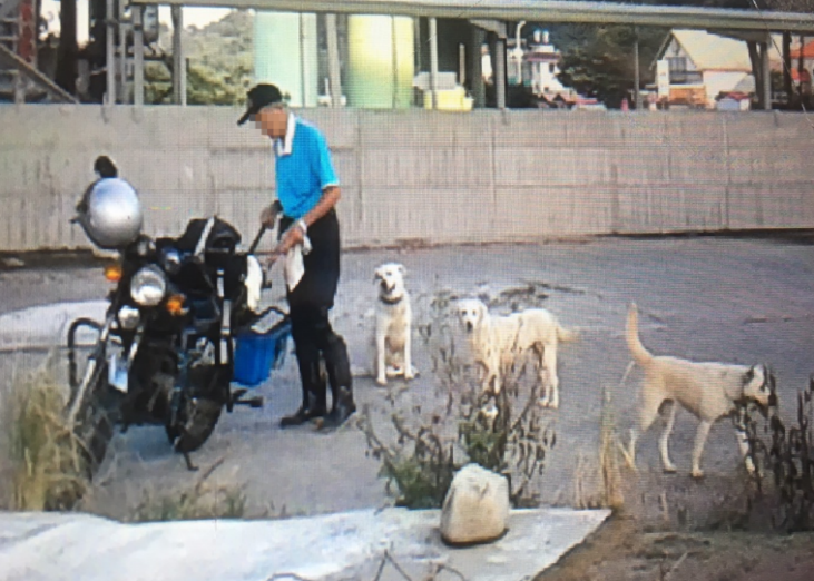 其中一位餵養人。　苗栗縣動物保護防疫所/提供(通報人於事件過後拍攝)