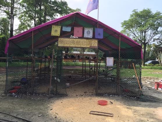 鴿舍週邊環境仍稱不上整潔，但地面至少不再佈滿小水窪。　邱蘭皓/提供