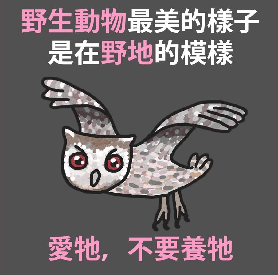 違法私養的惡質飼主應予嚴厲譴責，民眾看到亦可向主管機關林務局或保七總隊檢舉。野生動物追思會/提供