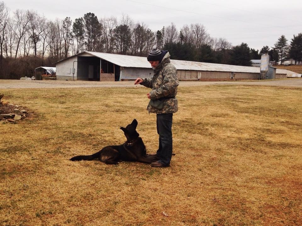 Steve有各種工作犬的訓練經驗,但他並沒有特別屬於哪個訓練體系,他認為訓練方式應「因狗制宜」。 Steve/提供