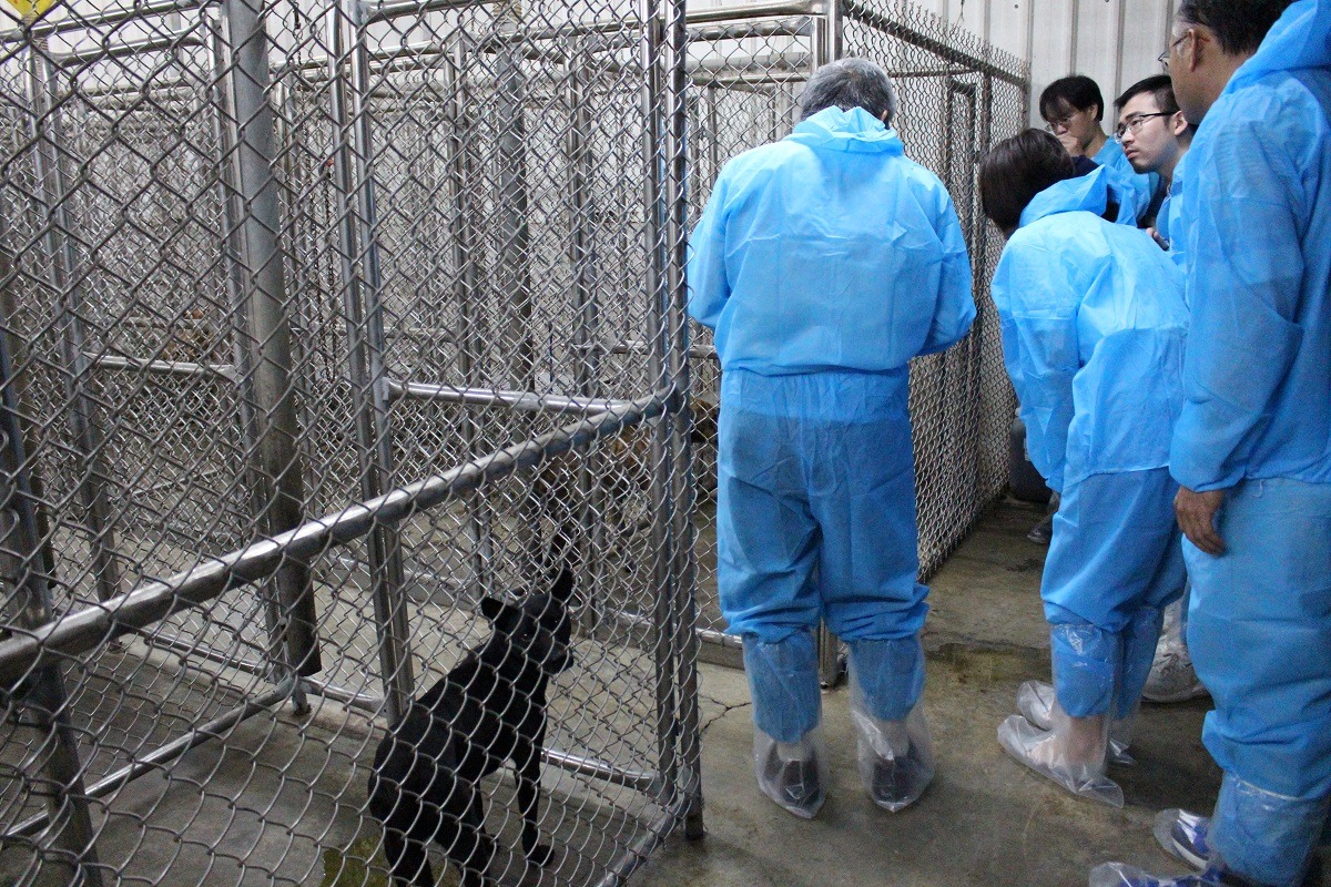 立法委員王育敏與動保團體30日參訪屏東縣流浪動物收容所，此為一般籠舍，不對外開放。　李娉婷/攝