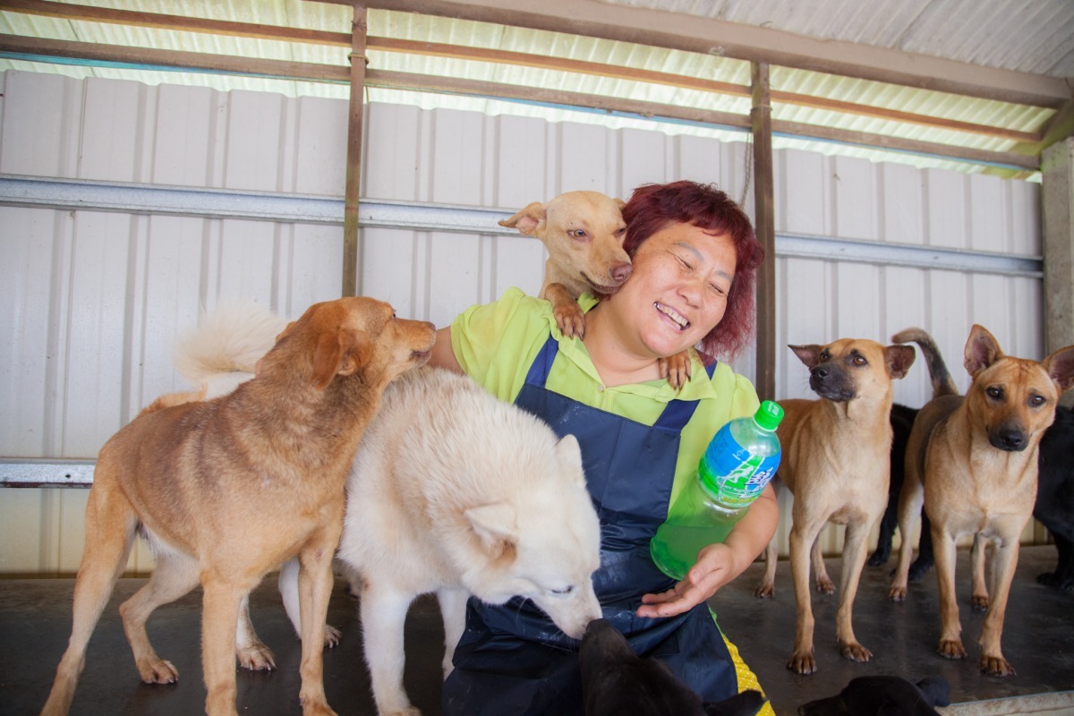 姜媽媽19年前從捕犬隊手中救下一隻年幼的黑色浪浪，從此開啟了收容流浪狗之路。　施老人/攝