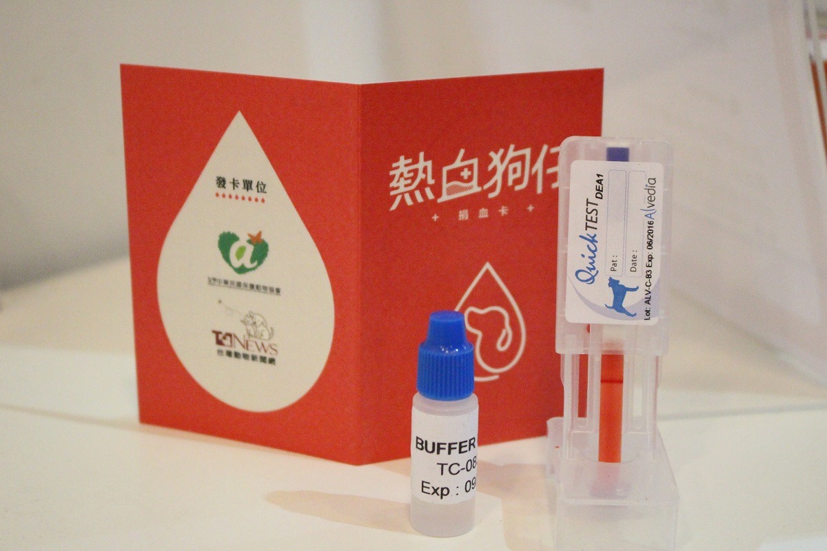 空相的驗血結果是DEA1(-)陰性（一條線），讓空相媽媽好驚訝！　李娉婷/攝