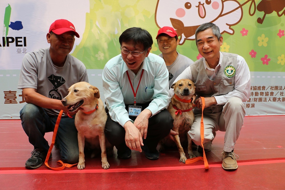 今日到場的許多動保團體皆帶著自家狗兒前來與市長柯文哲見面,圖為中華民國保護動物協會秘書長黃慶榮(右)與所屬八里保育場的狗兒,對談間才知道柯文哲小時家裡也有養狗!不過狗兒在柯文哲11歲時過世,也因此讓他不敢再養狗。 李娉婷/攝