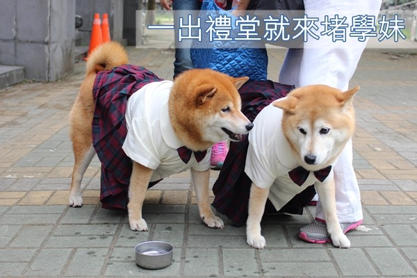 學妹由美（右）一走出禮堂，就碰到堵在外面的可樂（左）！　江幸芸/攝