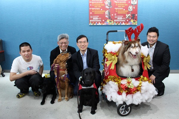 2014台北狗狗友善健行日有「開路天使」導盲犬介紹、寵物聖誕花車票選等精彩活動，還有寵物健康諮詢，歡迎帶狗狗來散步！　李娉婷/攝