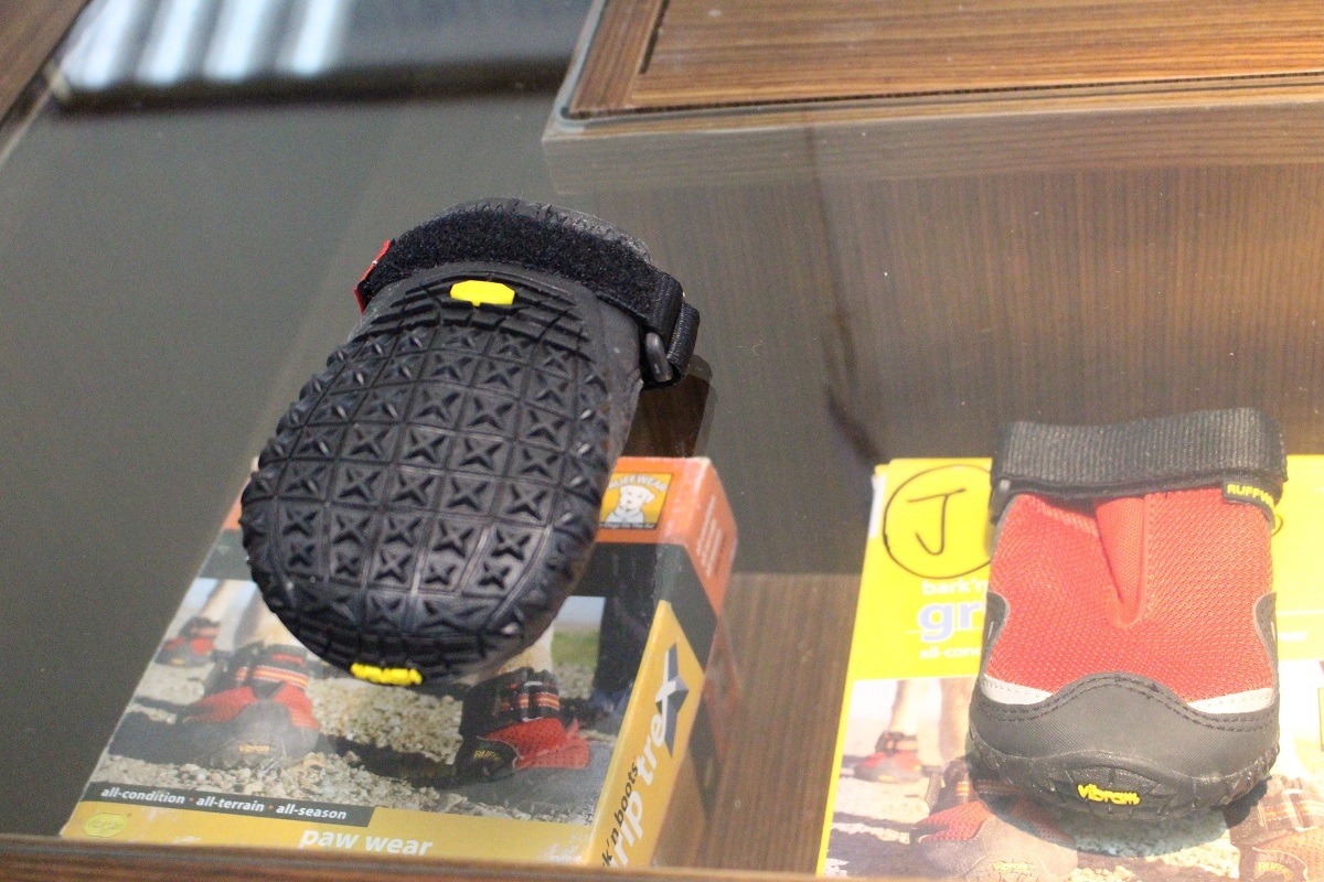 工作犬穿鞋與否要視狀況判定，有些場合穿鞋反而增加危險性，如泥濘地、需攀爬的地形。　台灣動物新聞網資料照(李娉婷/攝)