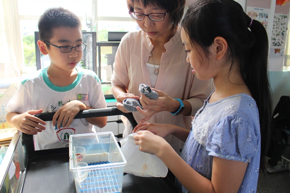 武秀韻老師幫有神經症狀的「飛飛」保定，讓牠能夠安心待在小袋子中，這時就可以幫牠清理環境。　李娉婷/攝