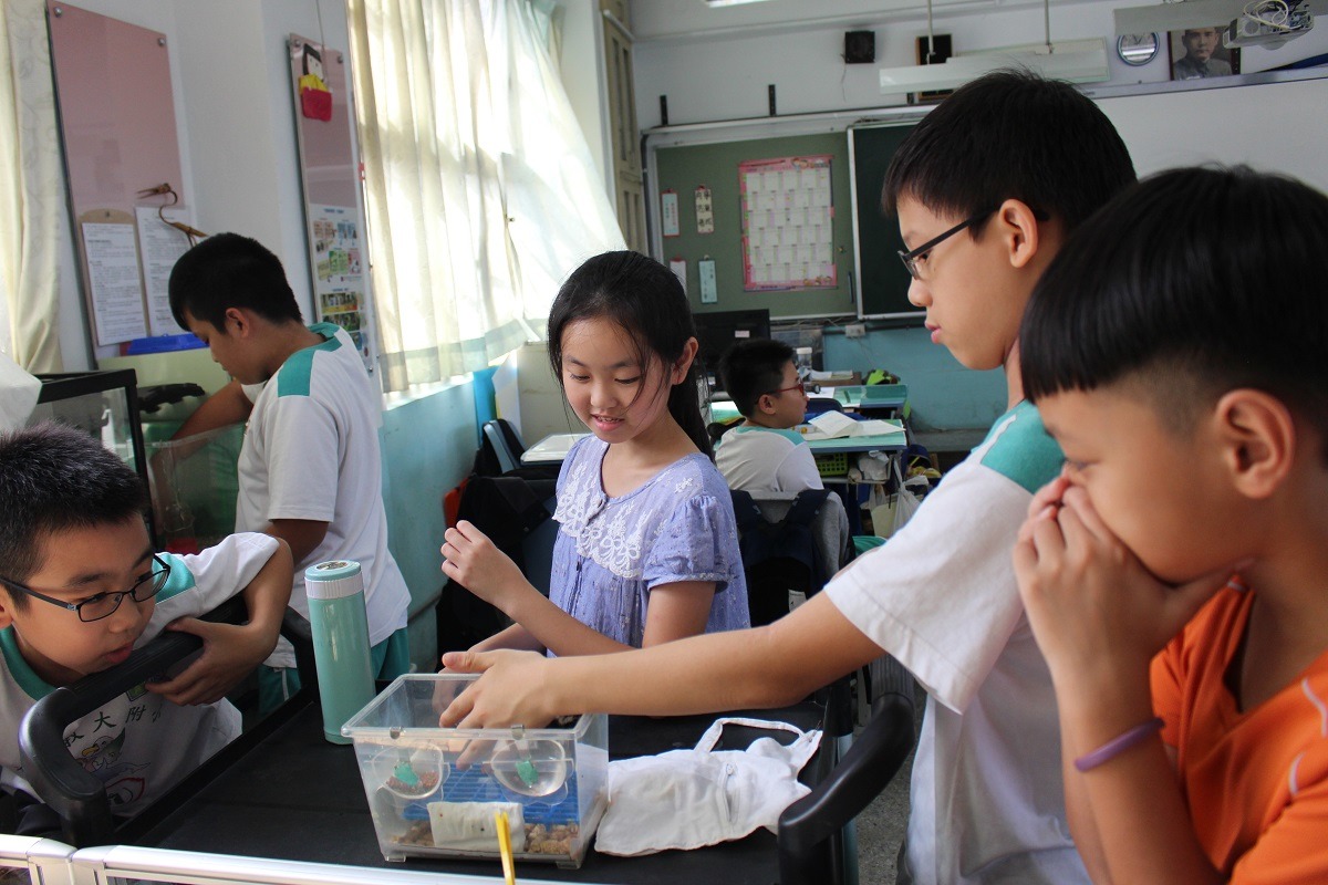 午休時間，小朋友們與鳥兒互動。　李娉婷/攝