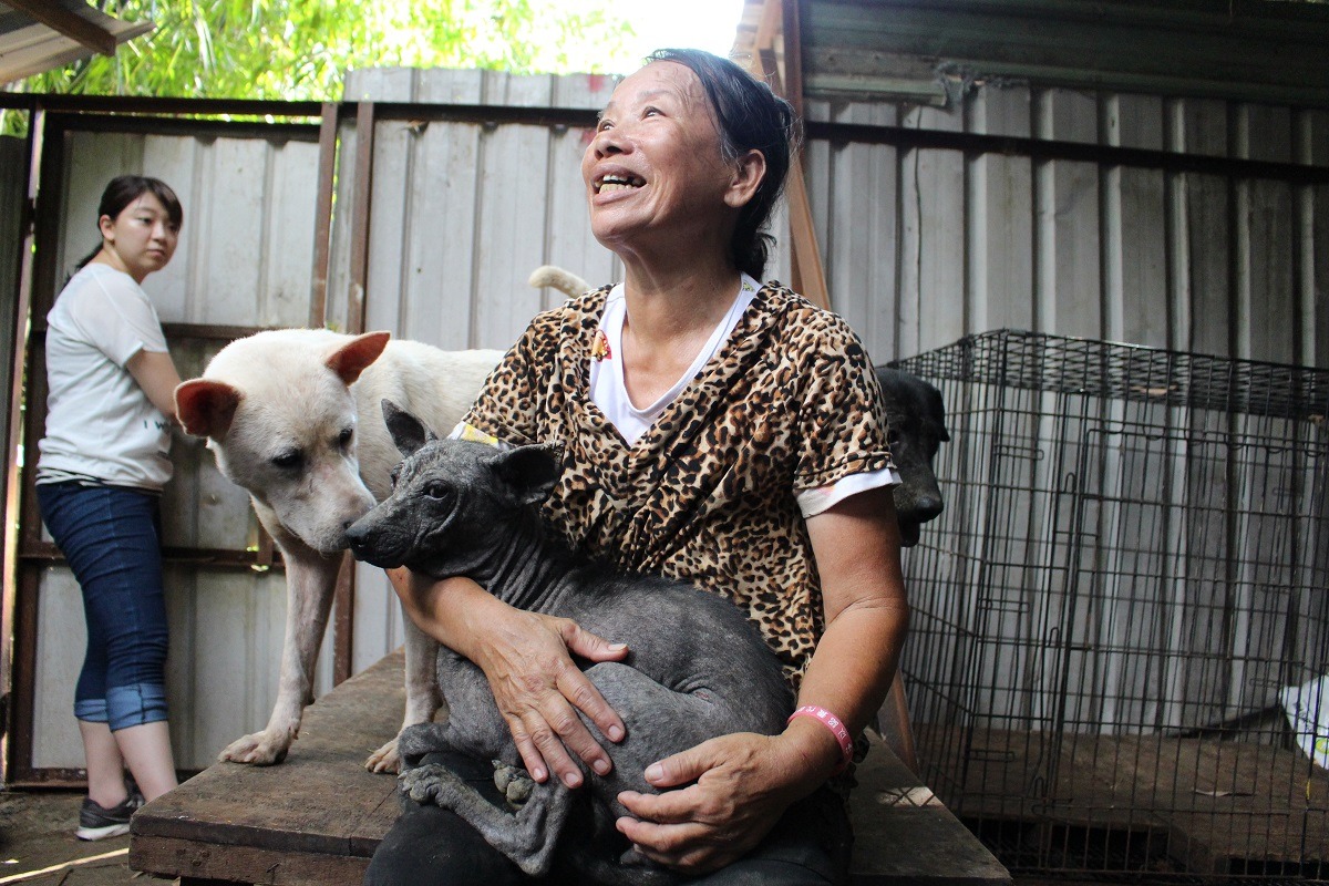 葉媽媽抱著有皮膚病的狗兒,準備將牠們分區、避免傳染。 李娉婷/攝