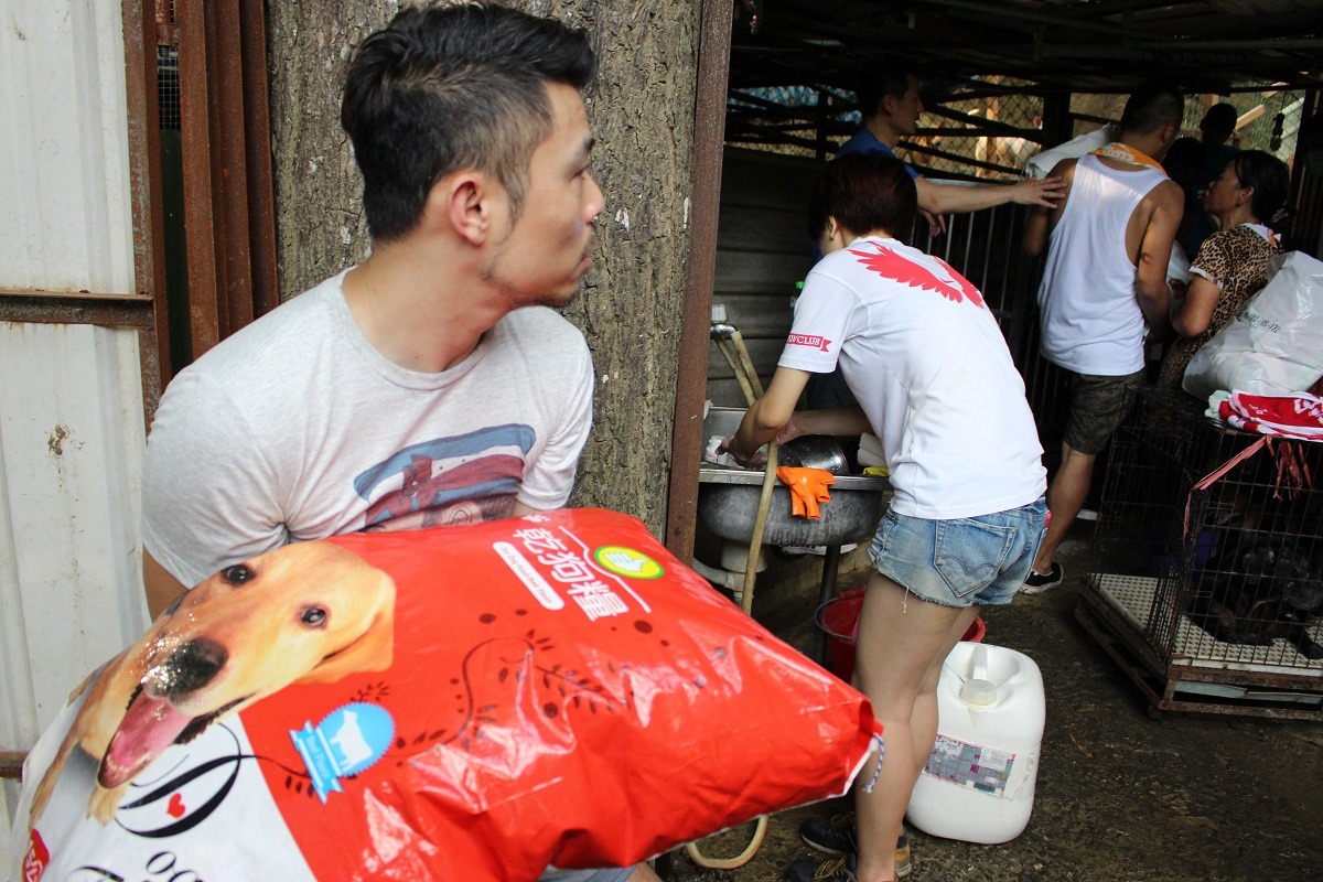 志工們協力幫葉媽媽將飼料搬上各個犬區。 李娉婷/攝