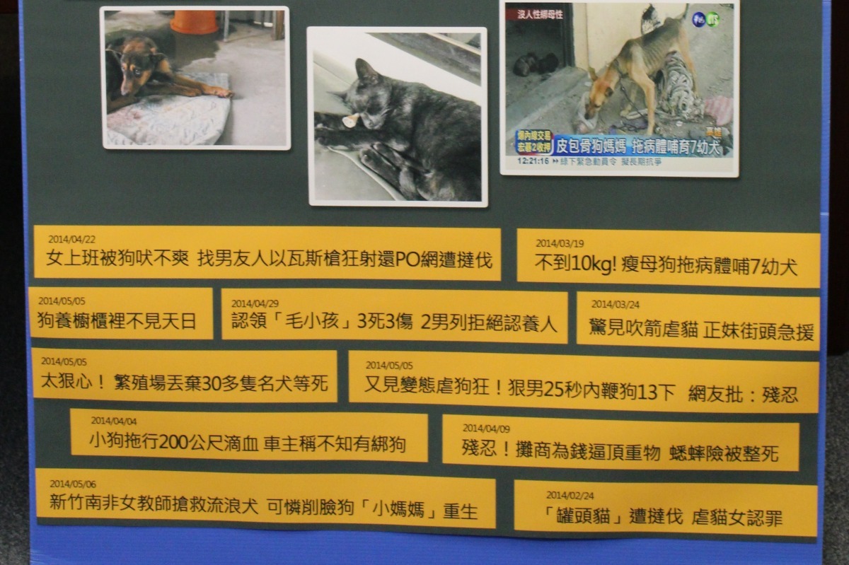 虐待動物案件層出不窮，能進入司法程序的更是少之又少。　台灣動物新聞網資料照，李娉婷/攝