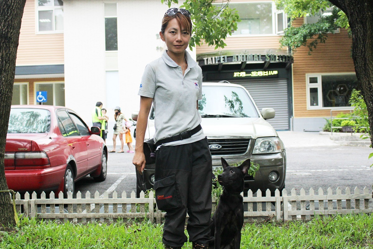 訓犬師沈育如每周二到周六全天會在台北市動物之家，訓練收容所中有行為問題的狗狗。　李娉婷/攝