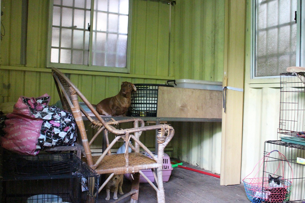 葉媽媽住在狗園的貨櫃屋中,沒有瓦斯與電力,她冬天時會燒些熱水、夏天則都是洗冷水澡。 李娉婷/攝