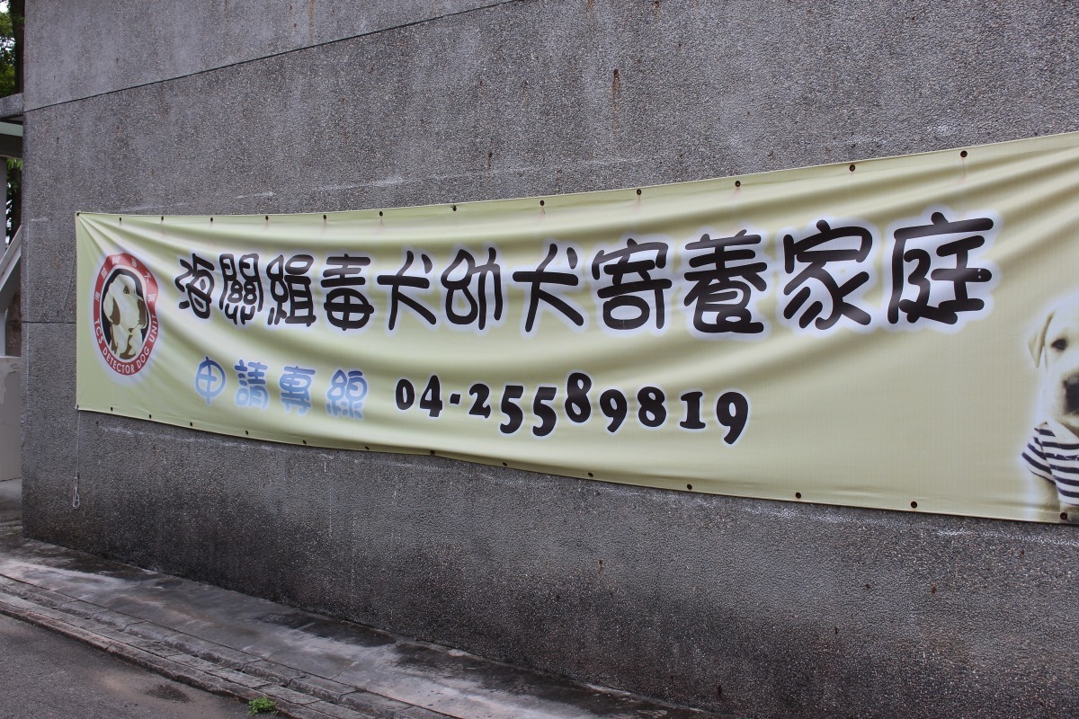 雖然幼犬可愛討喜，但照顧工作犬幼犬有諸多規範，讓寄養家庭招募不易，許多工作犬單位長期處於缺寄養家庭的狀態。　　何宜/攝
